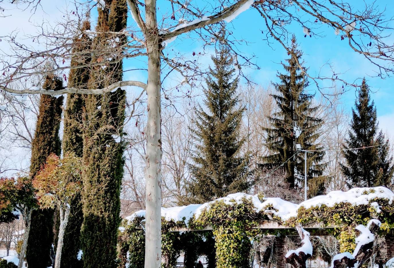 Las intensas nevadas dañan dos carpas del muincipio guardense.