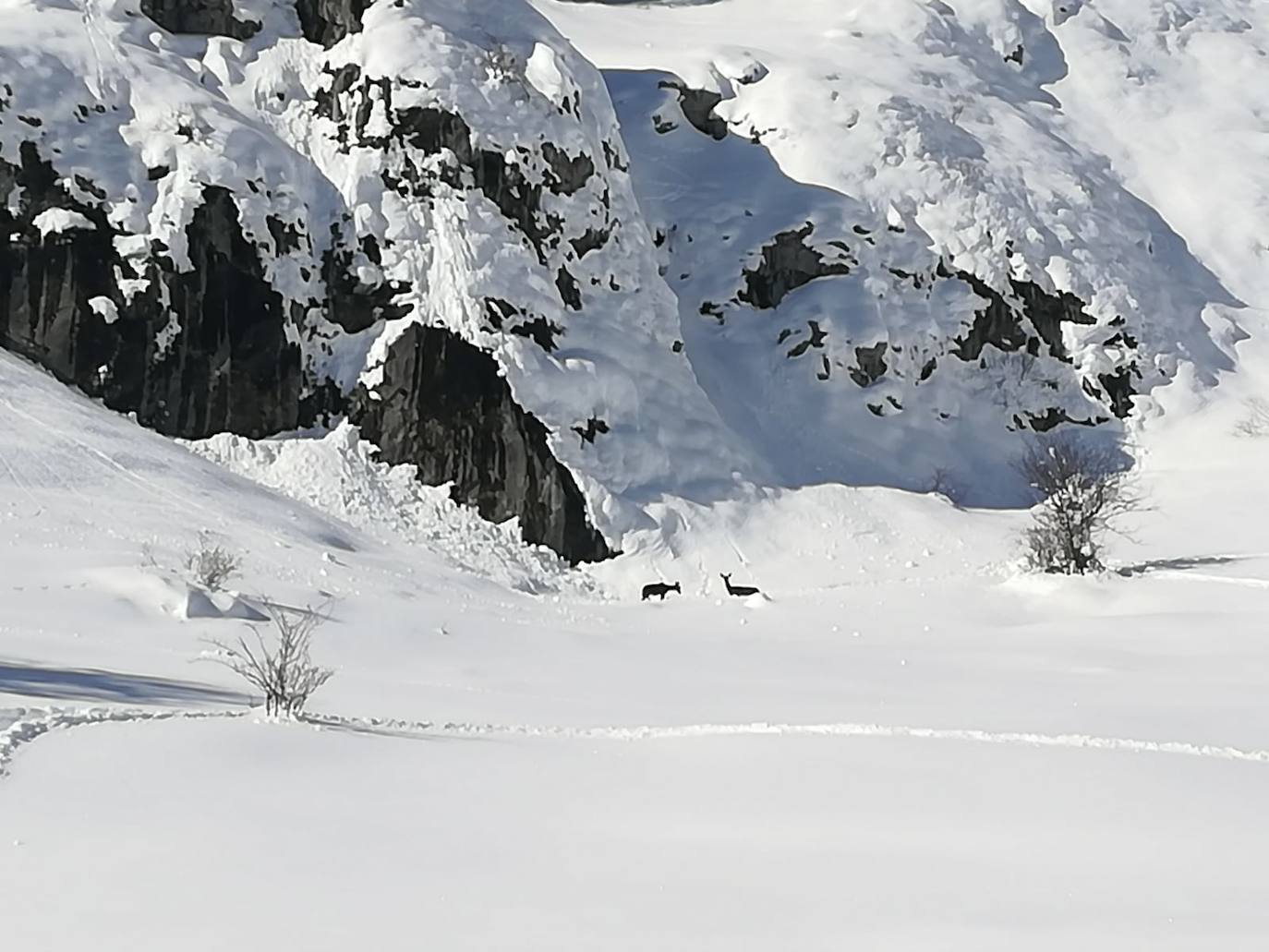 Santa María de Redondo continúa con nieve y gélidas temperaturas. 