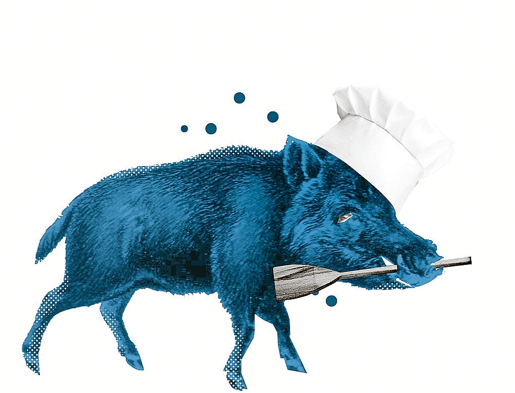 La estrella de Castroverde