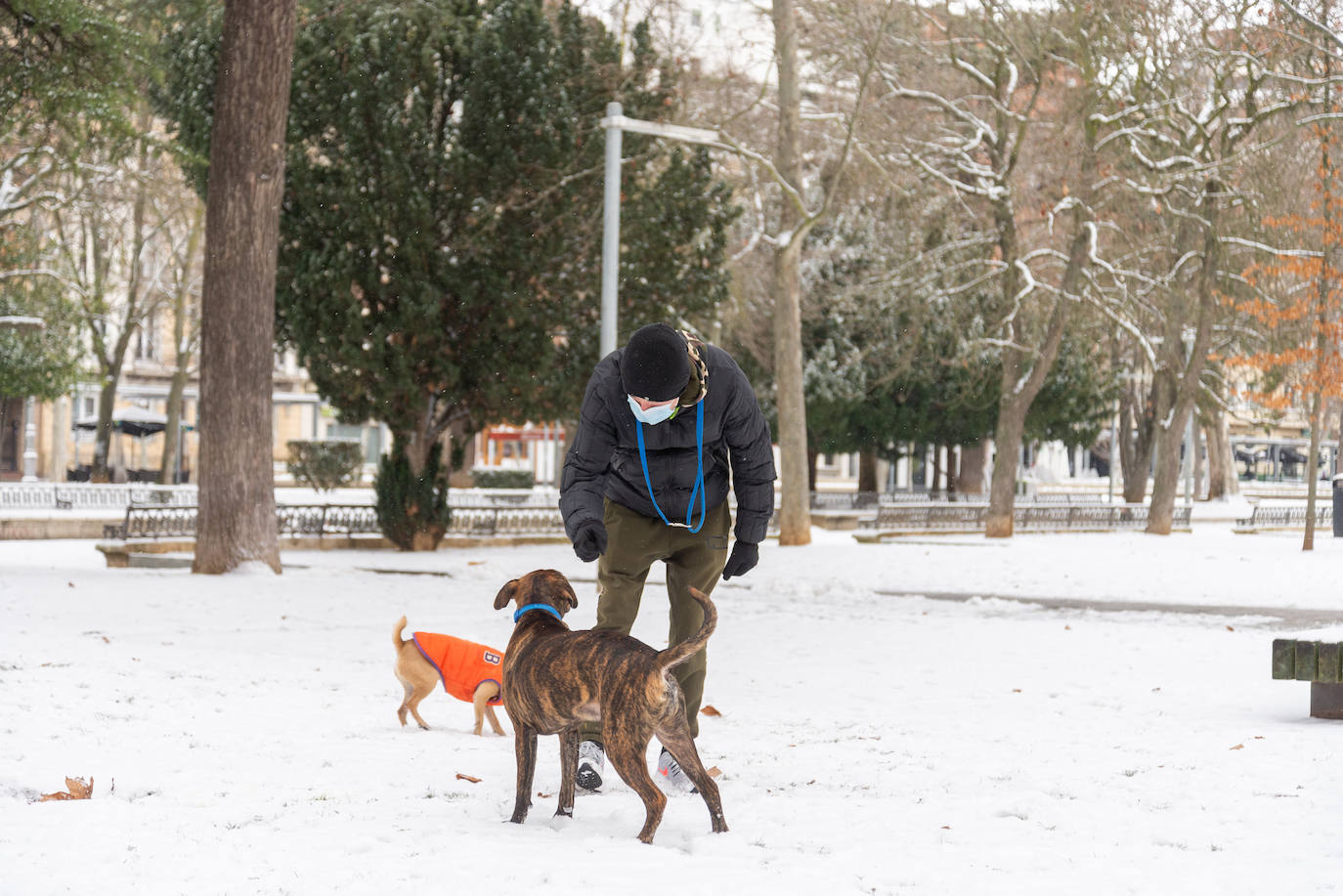 Fotos: La nieve ha dejado una jornada de diversión en Palencia