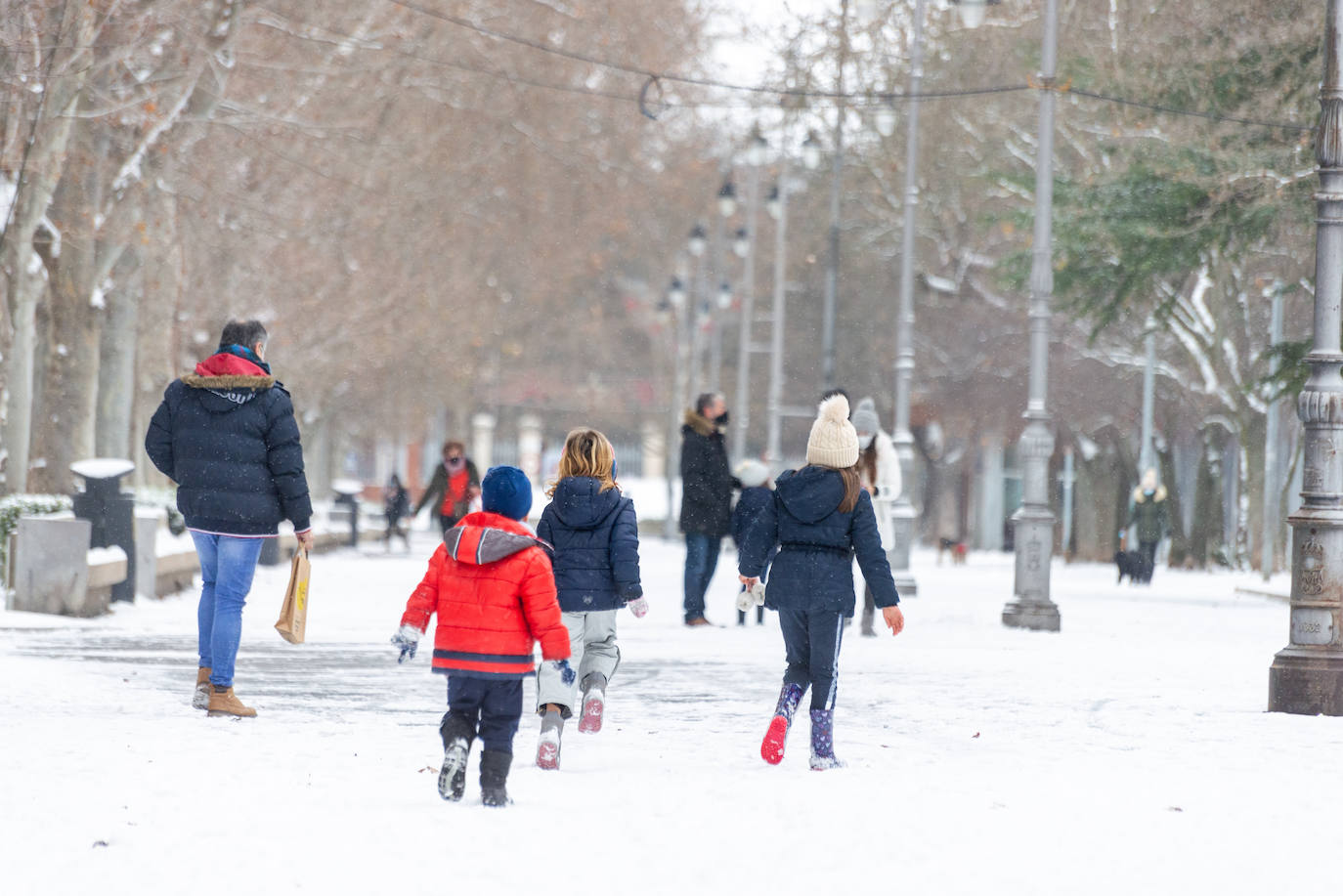 Fotos: La nieve ha dejado una jornada de diversión en Palencia