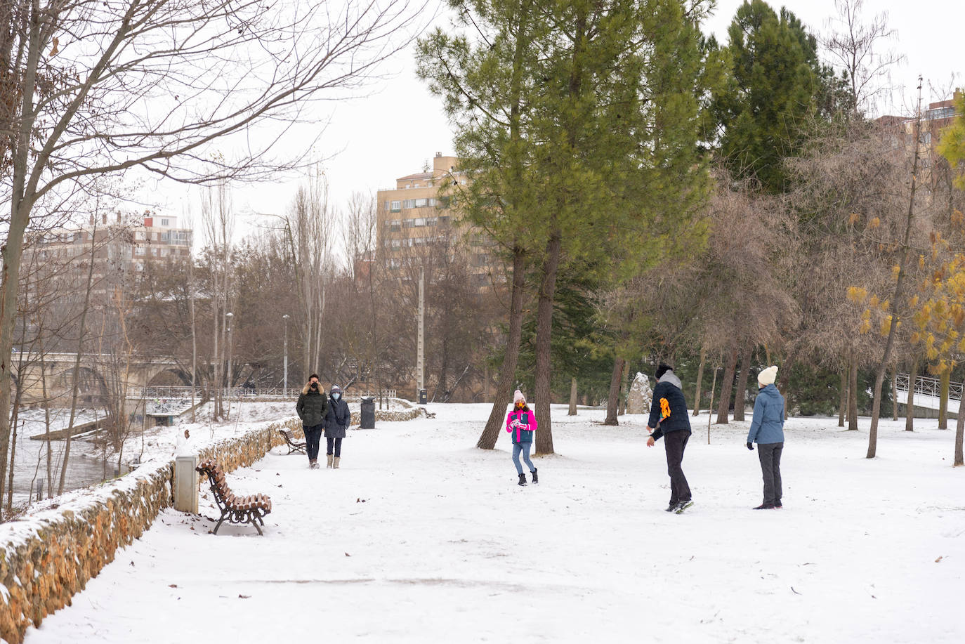 Fotos: La nieve ha dejado una jornada de diversión en Palencia