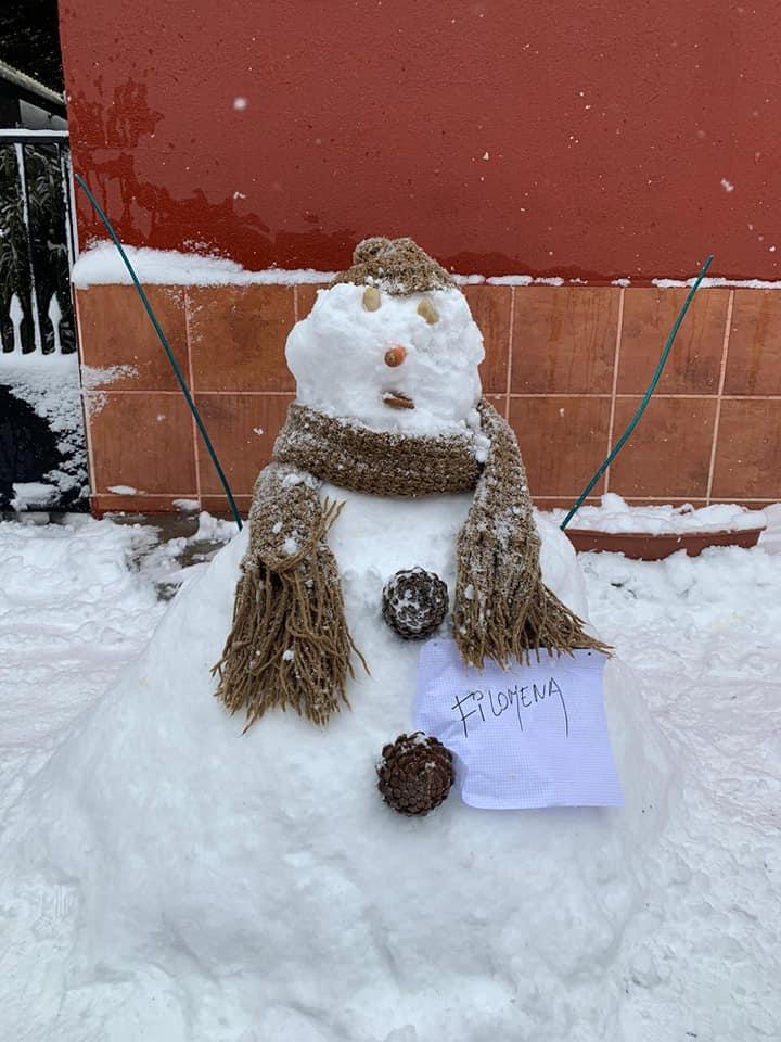 Fotos: Las bellas estampas que deja la nieve