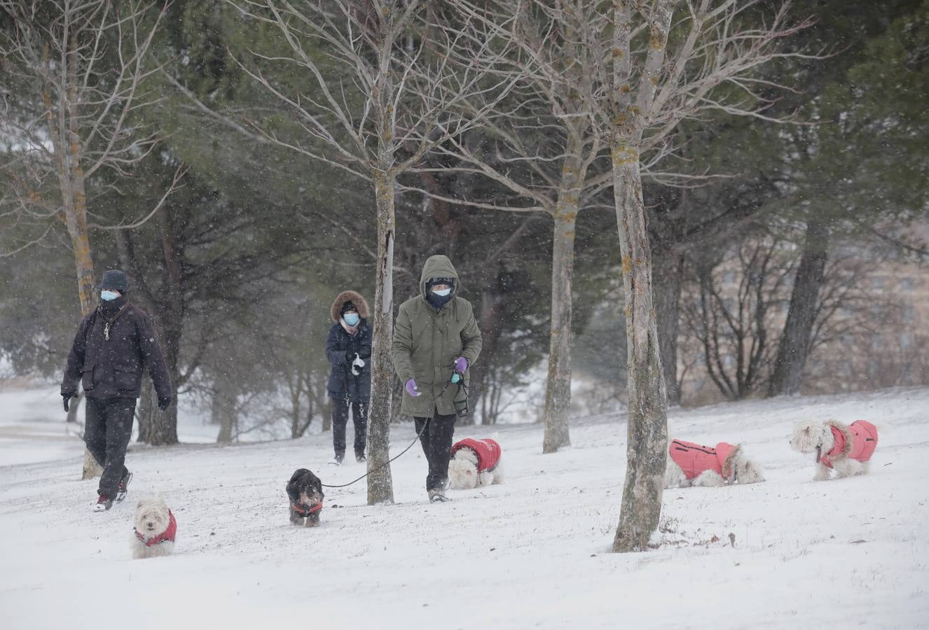 Fotos: Los vallisoletanos disfrutan de un día de nieve en la ciudad