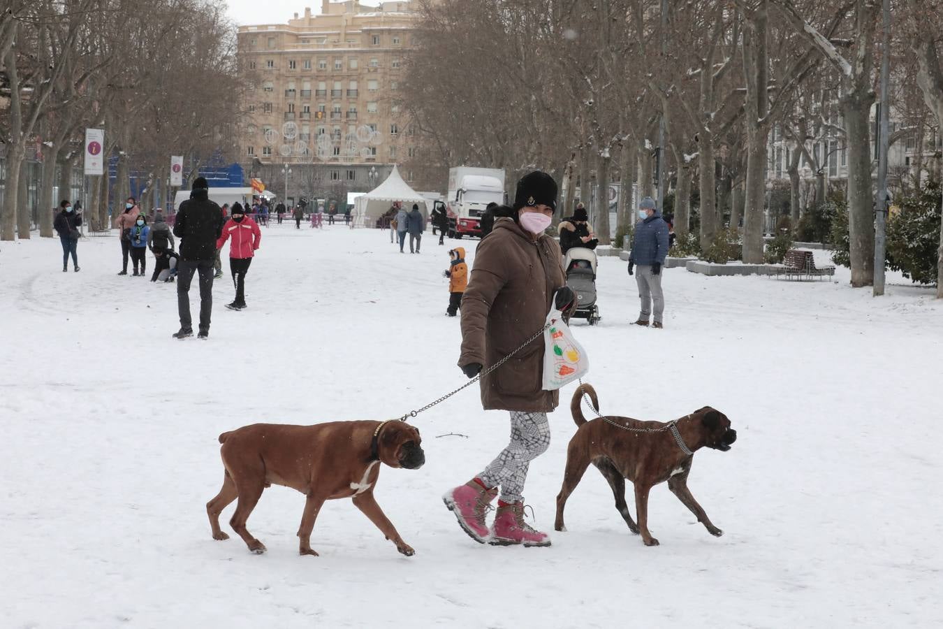 Fotos: Los vallisoletanos disfrutan de un día de nieve en la ciudad