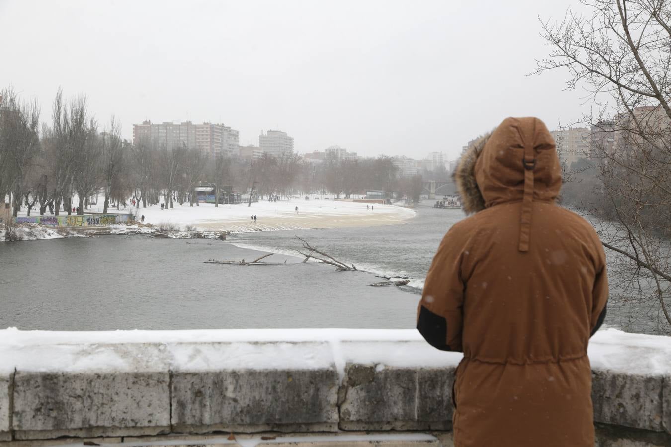 Fotos: Los vallisoletanos disfrutan de un día de nieve en la ciudad