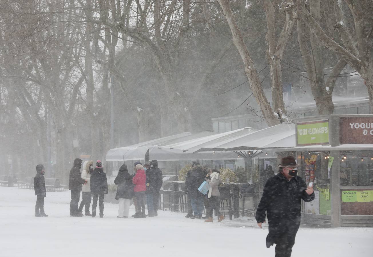 Fotos: Los vallisoletanos disfrutan de un día de nieve en la ciudad