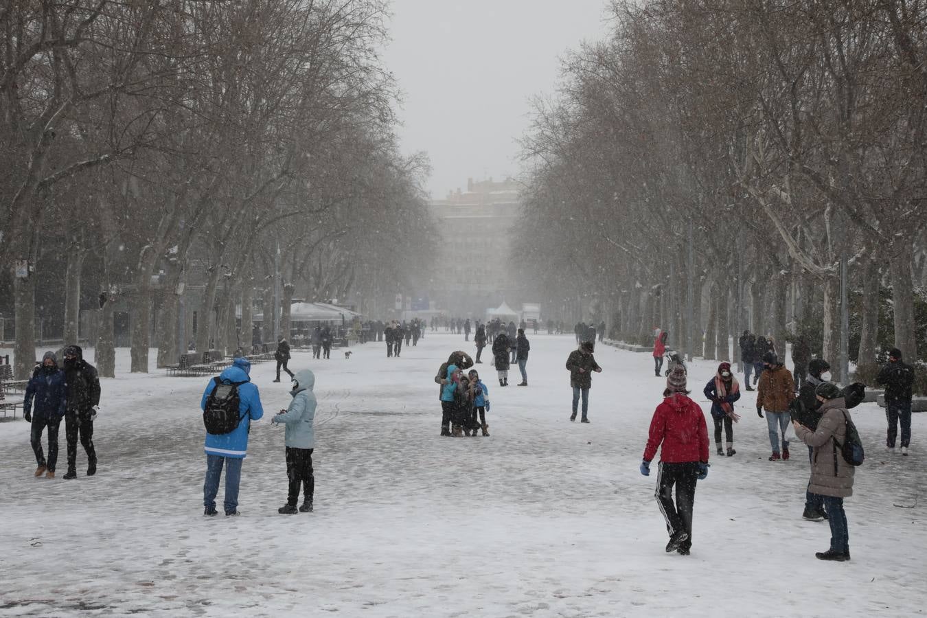 Fotos: Los vallisoletanos disfrutan de un día de nieve en la ciudad