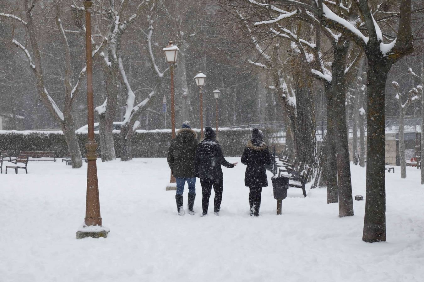 Fotos: Nevada en Peñafiel