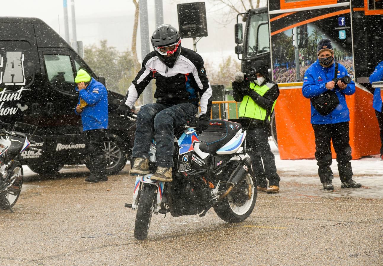 Fotos: Pingüinos desafía a la nieve en Valladolid