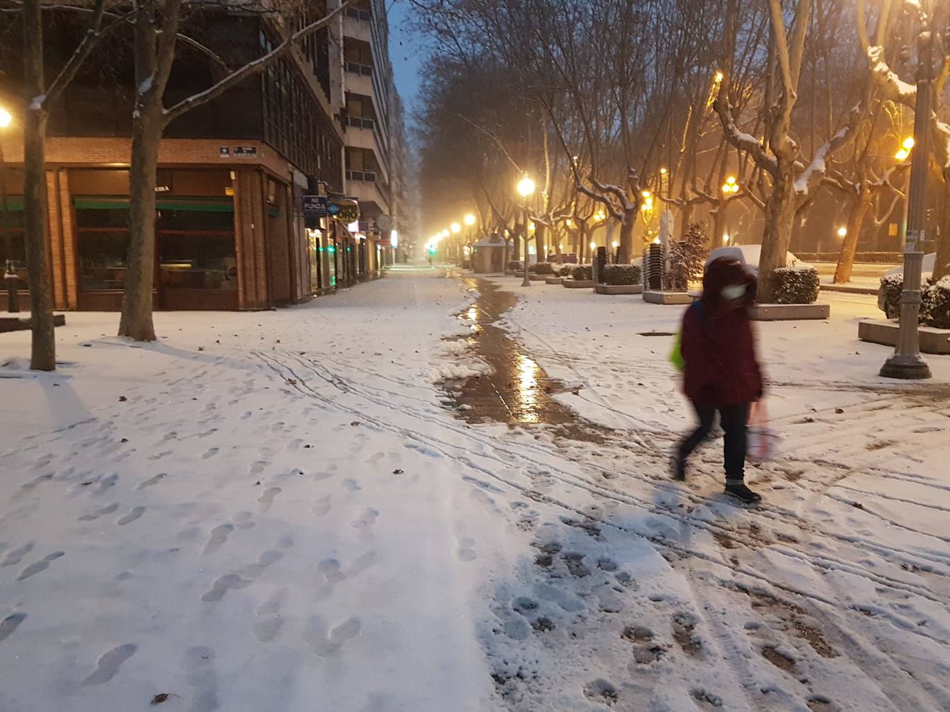 Fotos: Valladolid amanece teñida de blanco