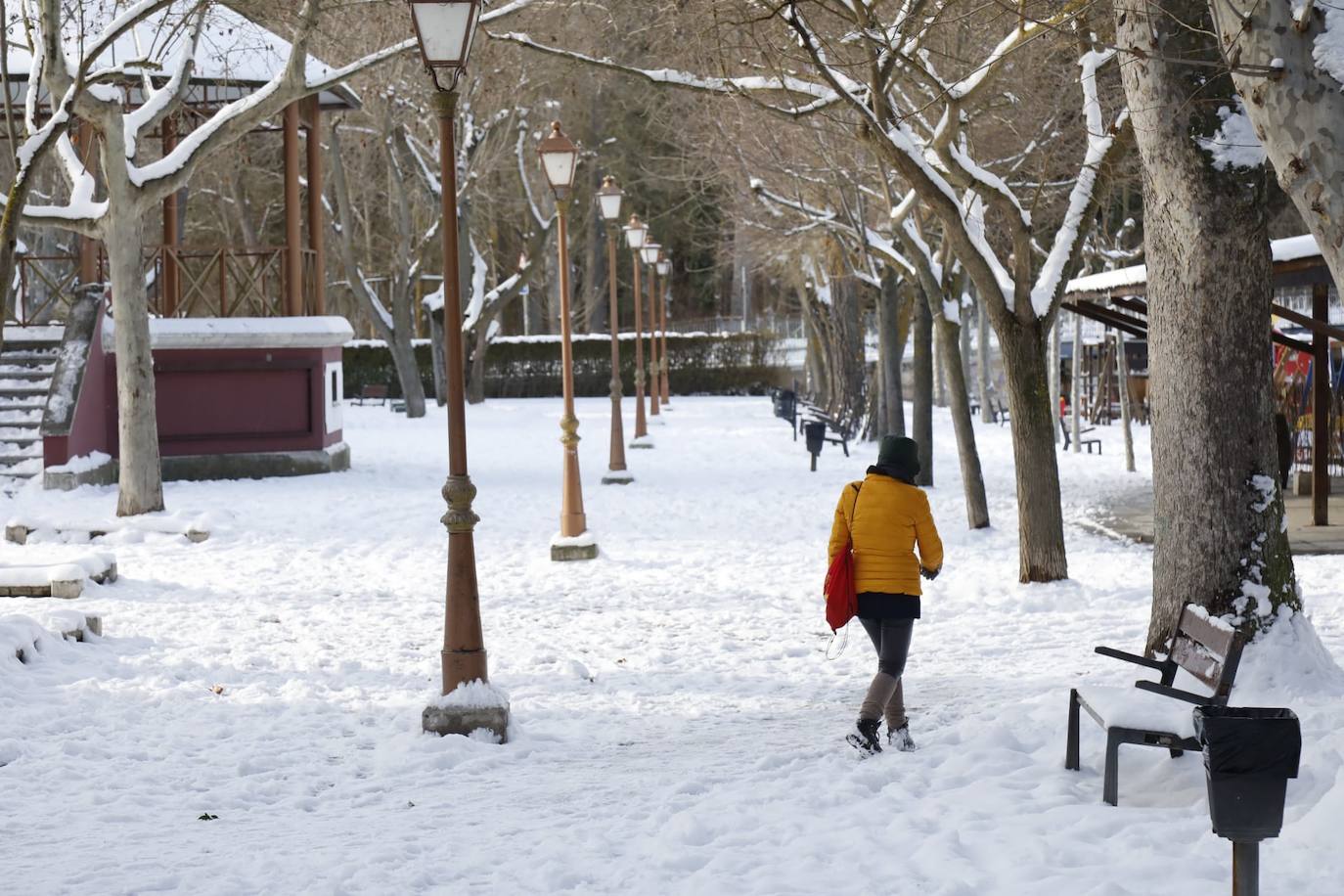 Fotos: Restos de hielo y nieve, protagonistas de la manaña del domingo en Peñafiel