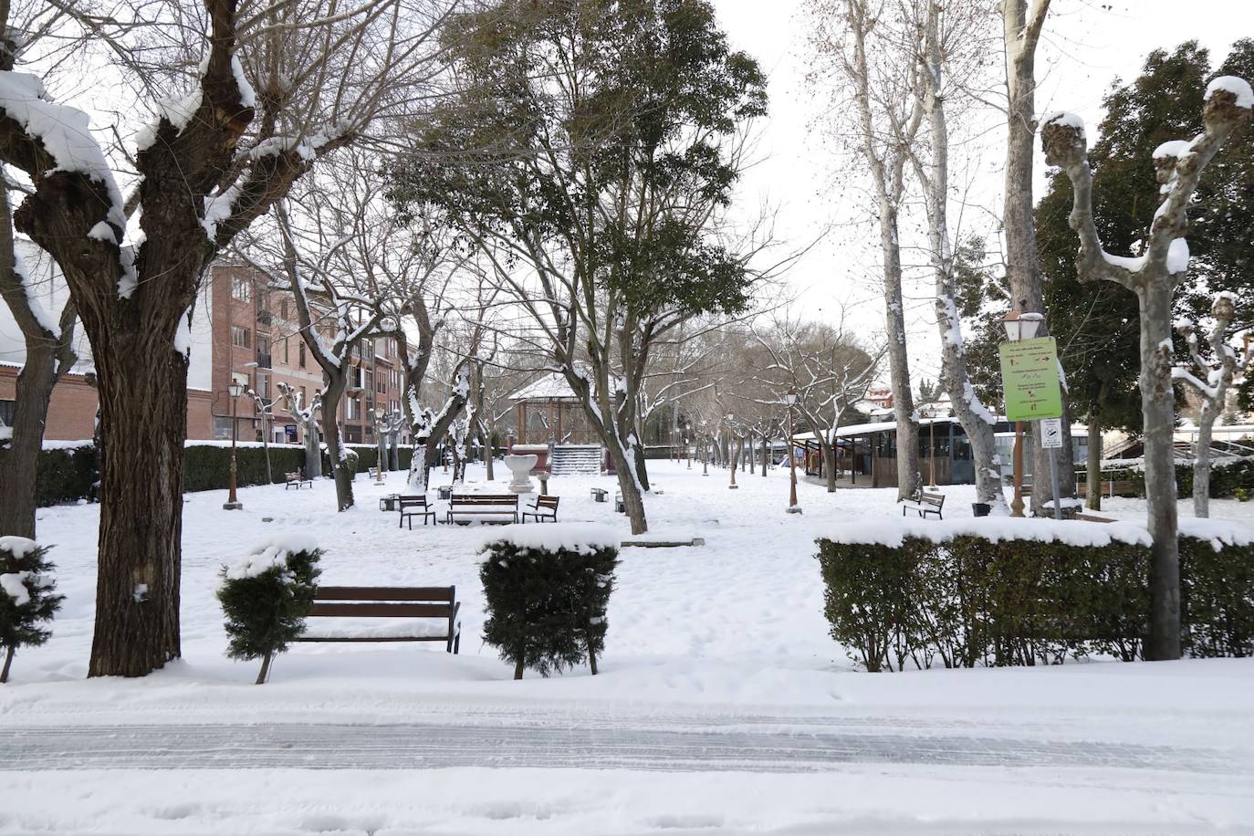 Fotos: Restos de hielo y nieve, protagonistas de la manaña del domingo en Peñafiel