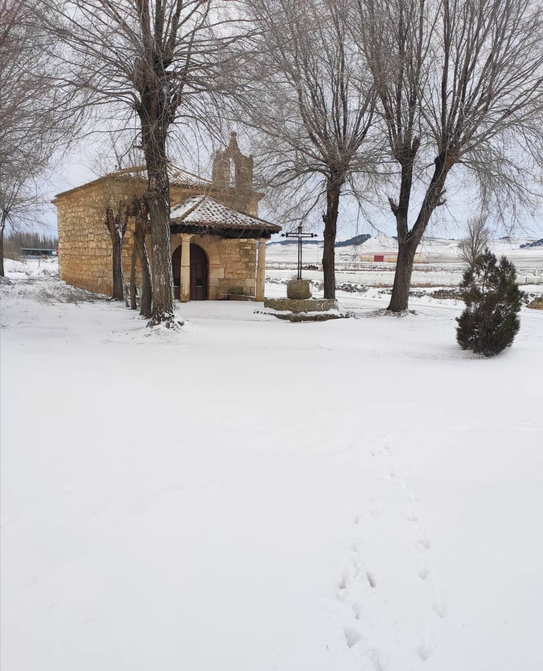 Fotos: Los pueblos de Valladolid empiezan a limpiar el hielo