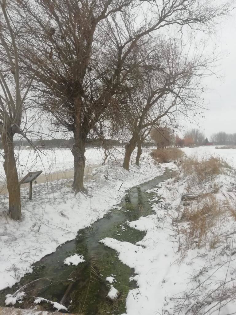 Fotos: Los pueblos de Valladolid empiezan a limpiar el hielo