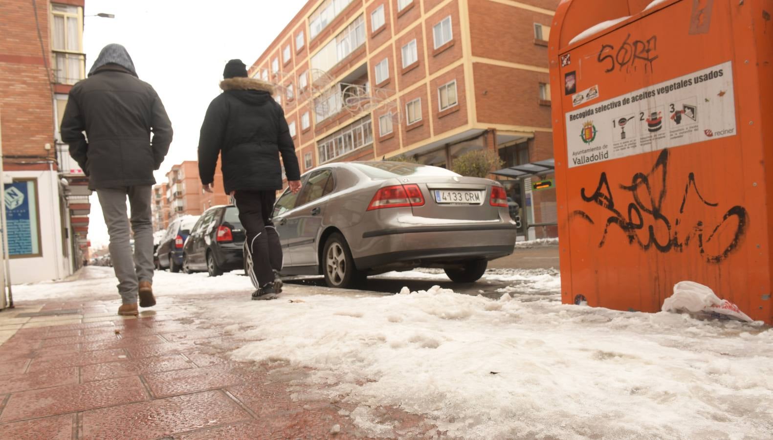 Fotos: El hielo, protagonista de este domingo en Valladolid