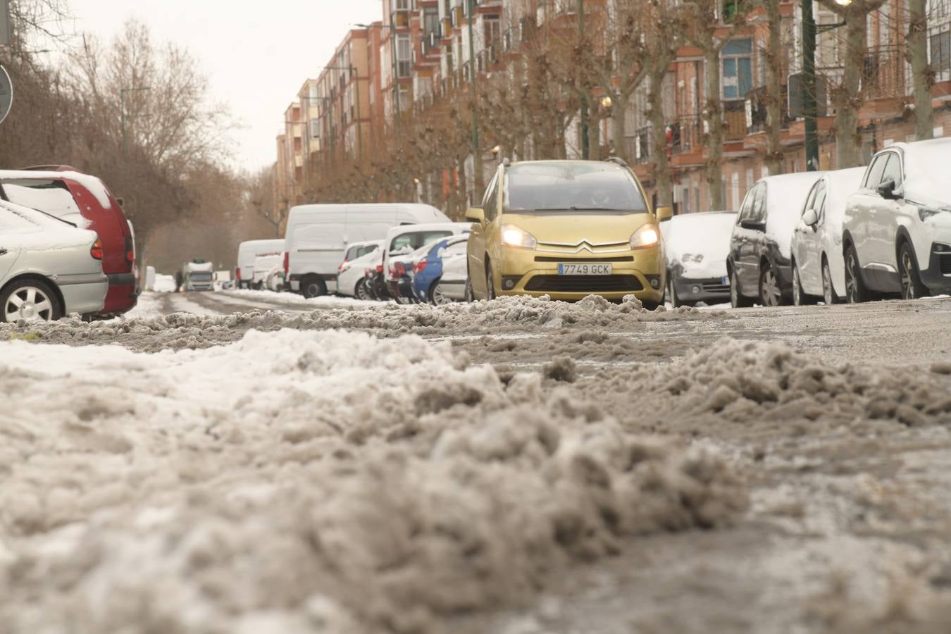 Fotos: El hielo, protagonista de este domingo en Valladolid