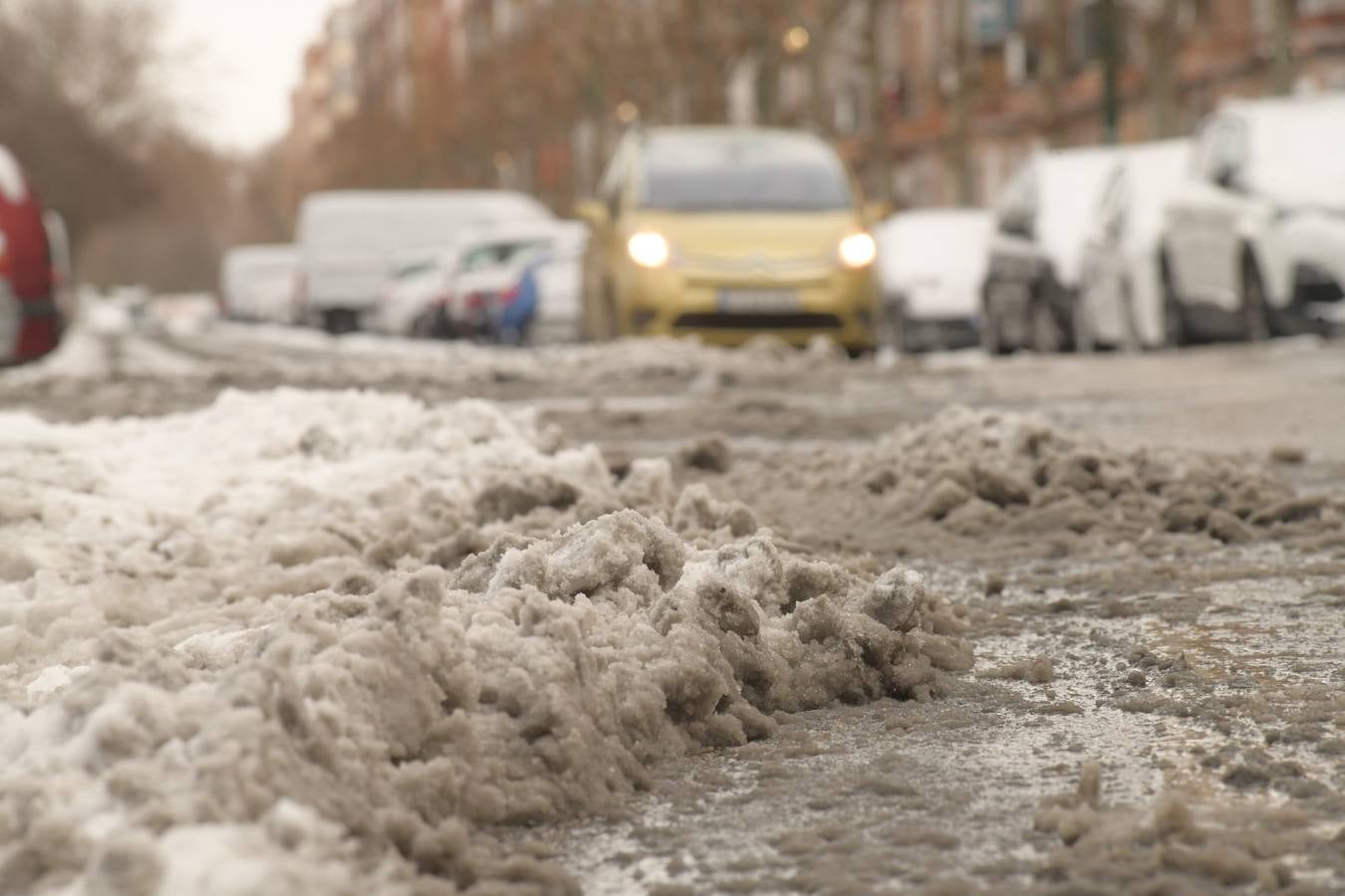 Fotos: El hielo, protagonista de este domingo en Valladolid