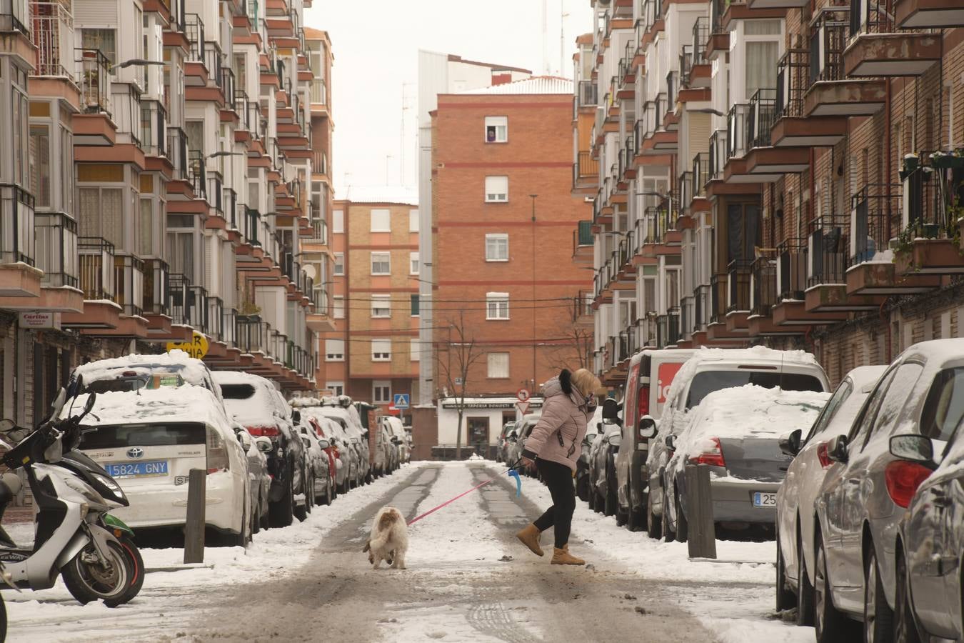 Fotos: El hielo, protagonista de este domingo en Valladolid