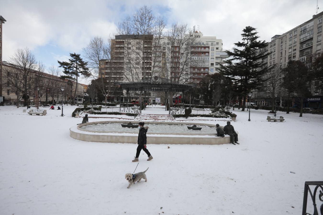 Fotos: El hielo, protagonista de este domingo en Valladolid