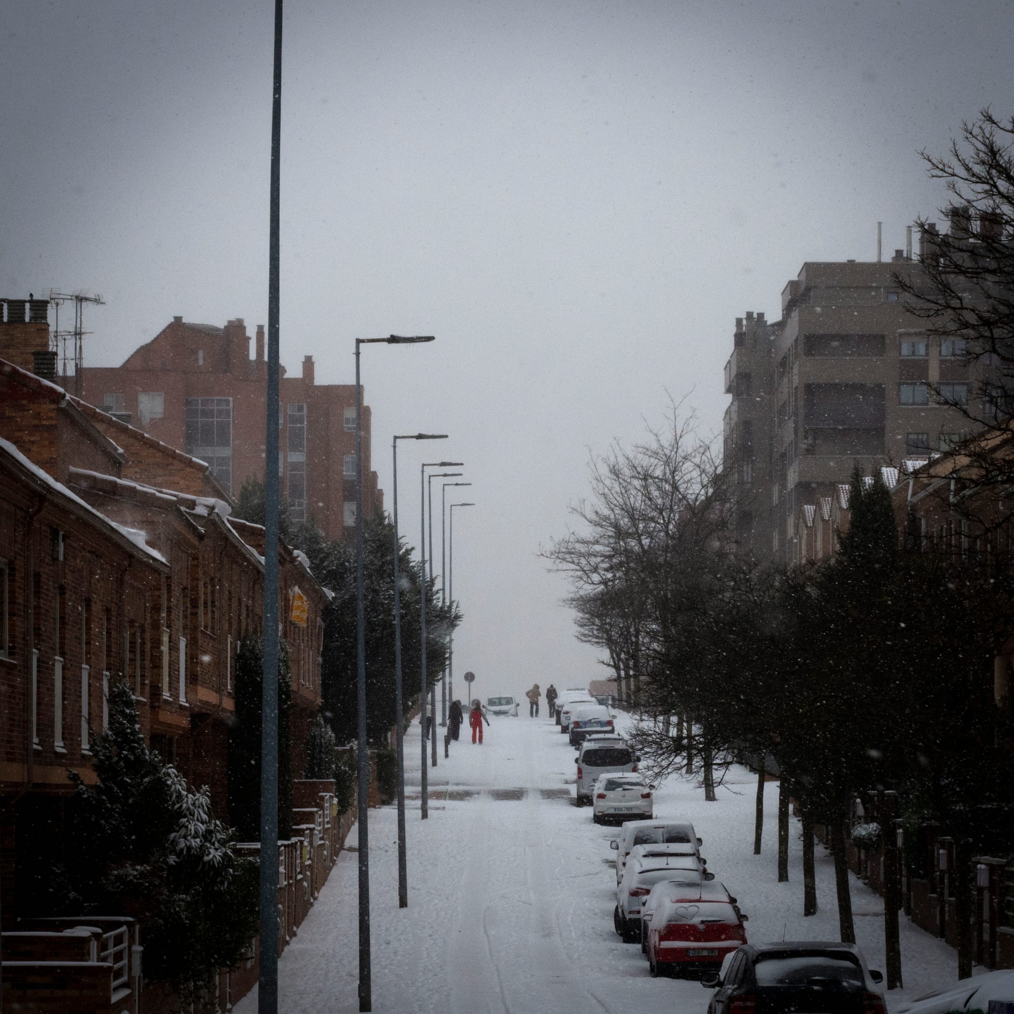 Fotos: Las imágenes del temporal &#039;Filomena&#039; enviadas por los lectores de El Norte de Castilla (3/3)