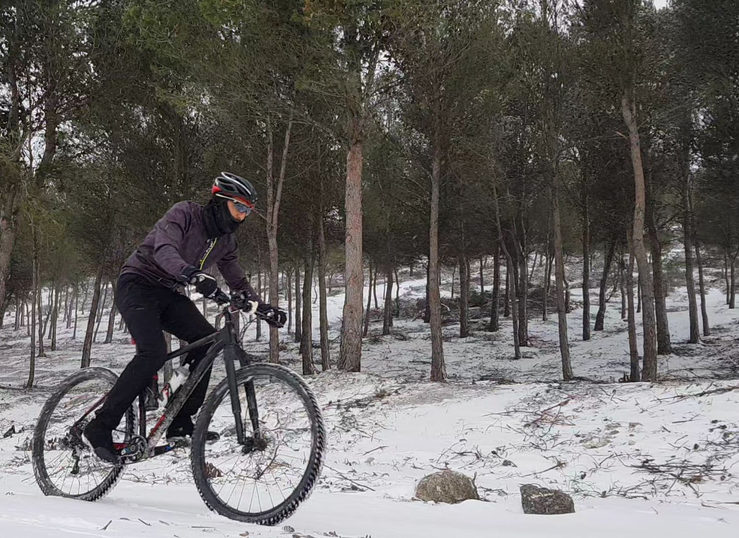 Fotos: Las imágenes del temporal &#039;Filomena&#039; enviadas por los lectores de El Norte de Castilla (3/3)