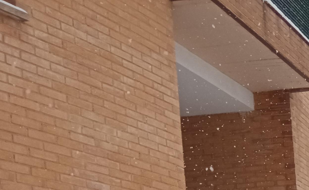 Nevada en Soria 2021