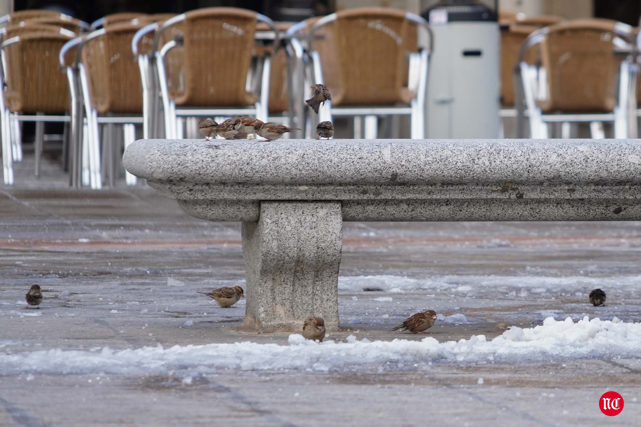 Fotos: Salamanca se intenta recuperar de Filomena