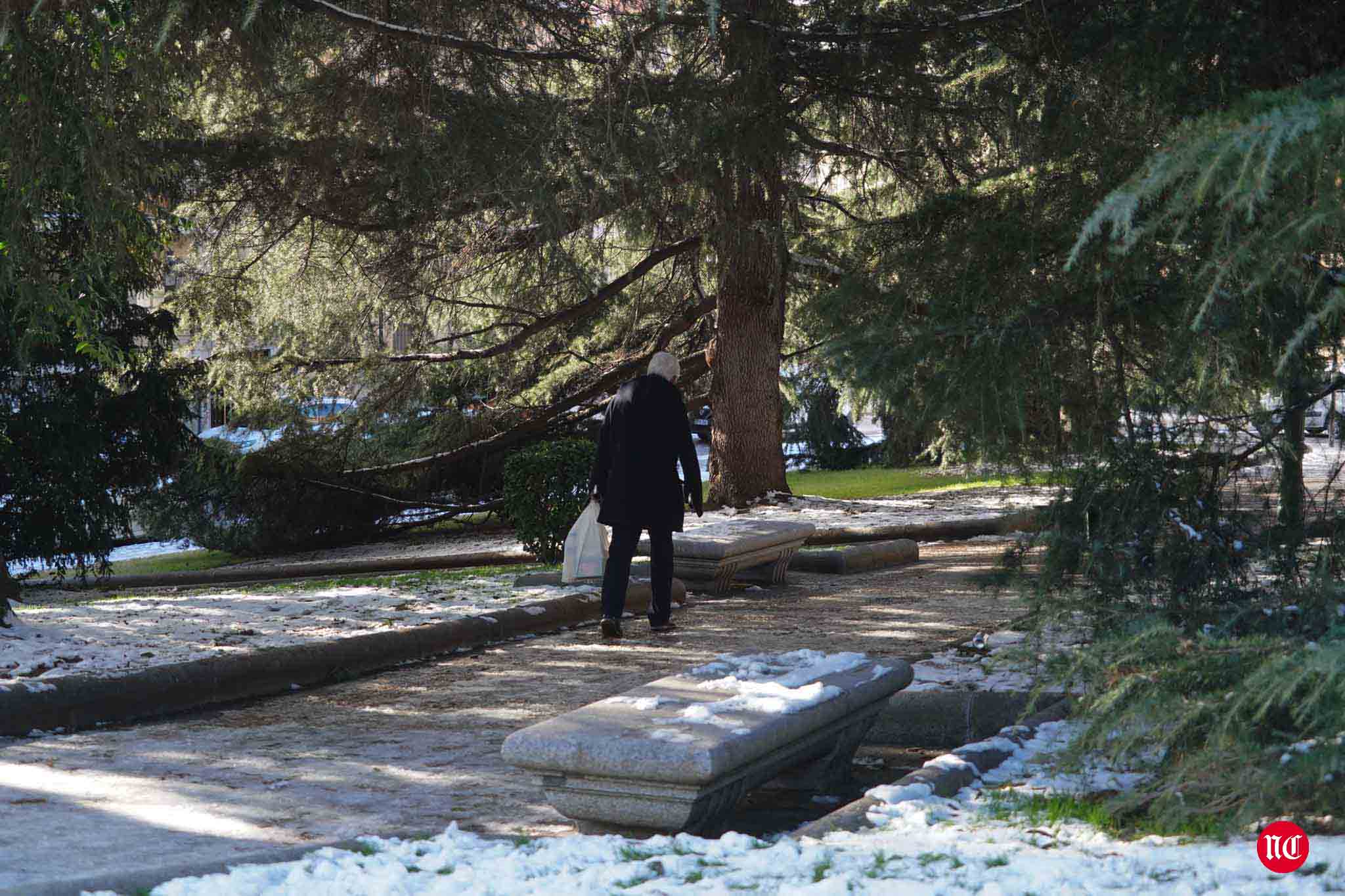 Fotos: Salamanca se intenta recuperar de Filomena