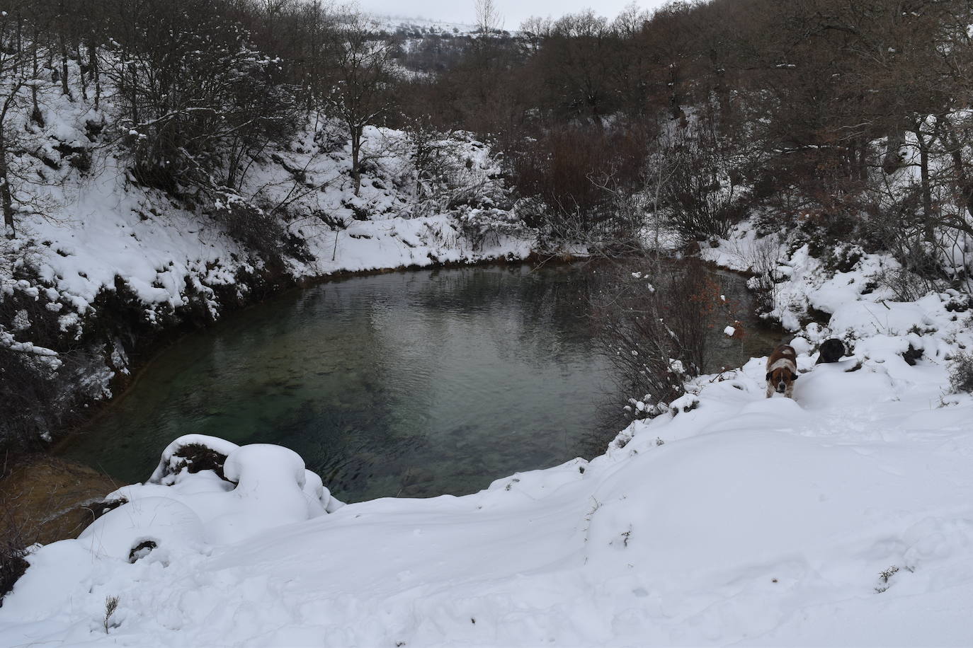 Fotos: El hielo se apodera de la cascada de Covalagua