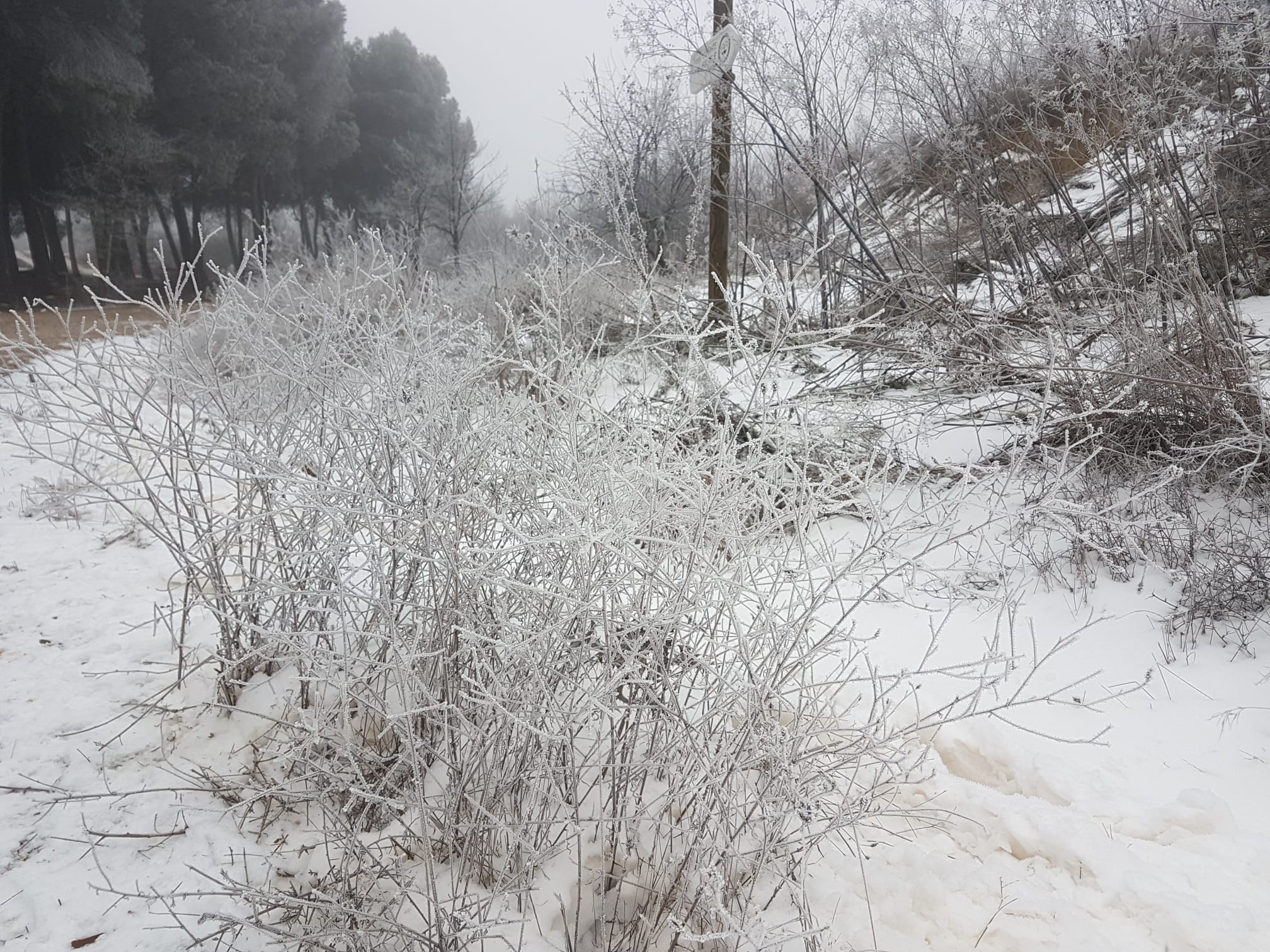 Fotos: Valladolid amanece cubierta de niebla