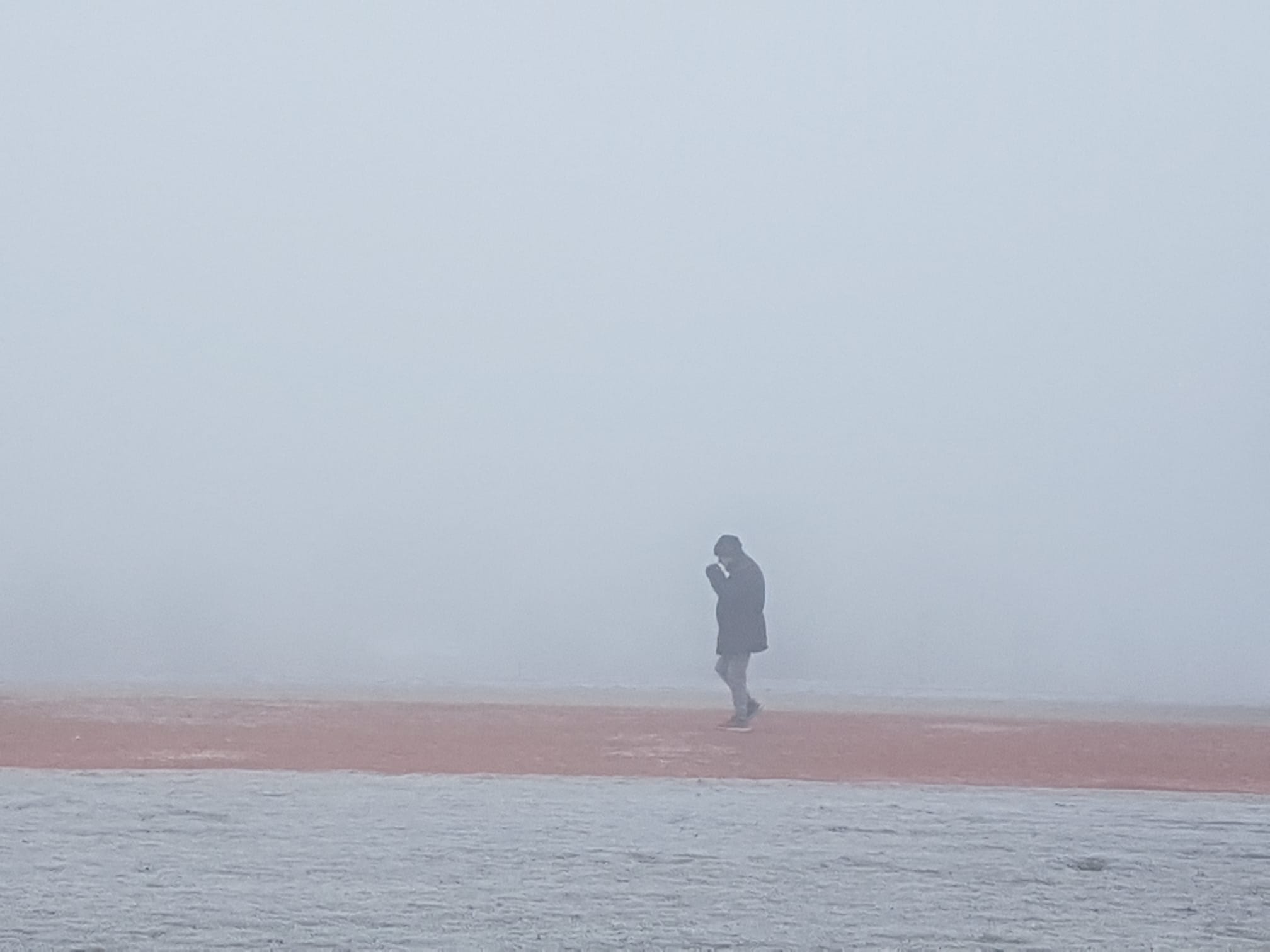 Fotos: Valladolid amanece cubierta de niebla