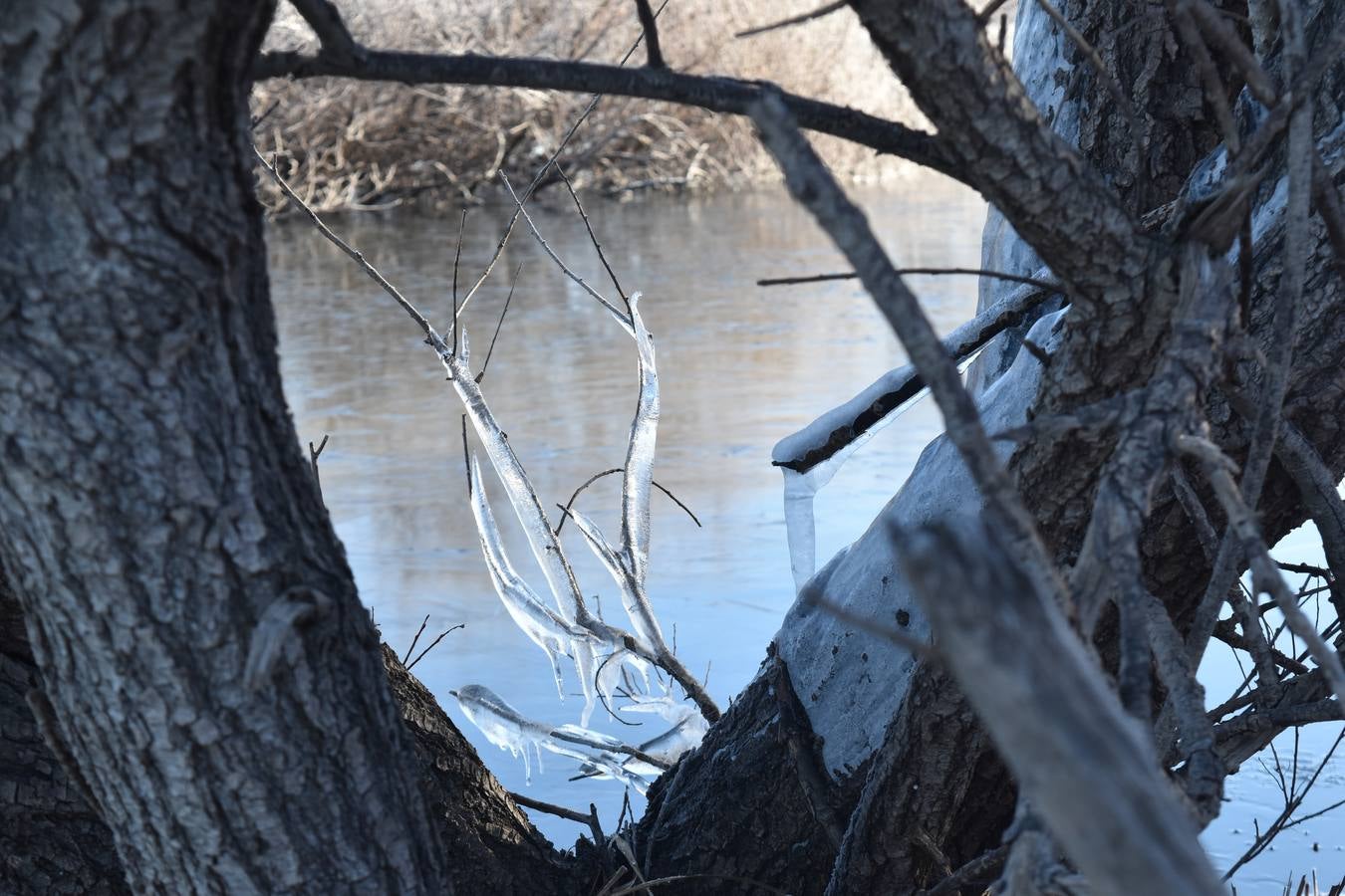 Fotos: El embalse de Aguilar de Campoo amanece congelado
