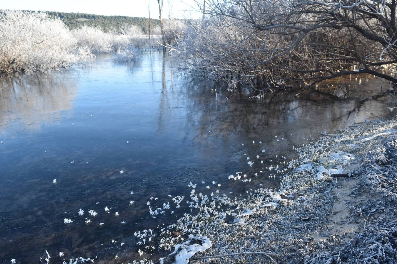 Fotos: El embalse de Aguilar de Campoo amanece congelado