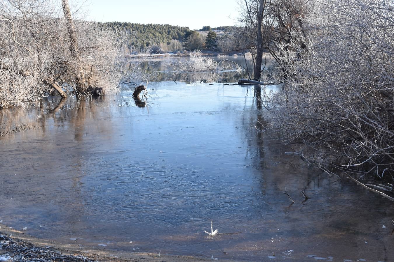Fotos: El embalse de Aguilar de Campoo amanece congelado
