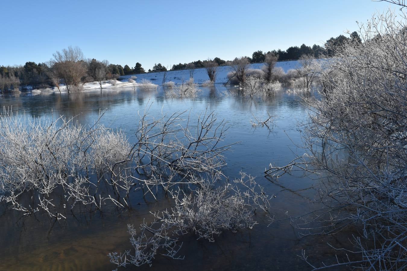 Fotos: El embalse de Aguilar de Campoo amanece congelado