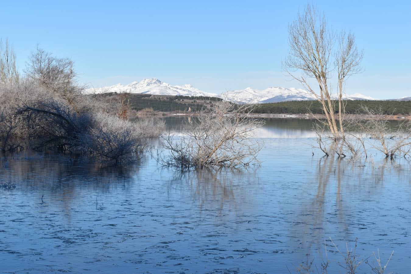 Fotos: El embalse de Aguilar de Campoo amanece congelado