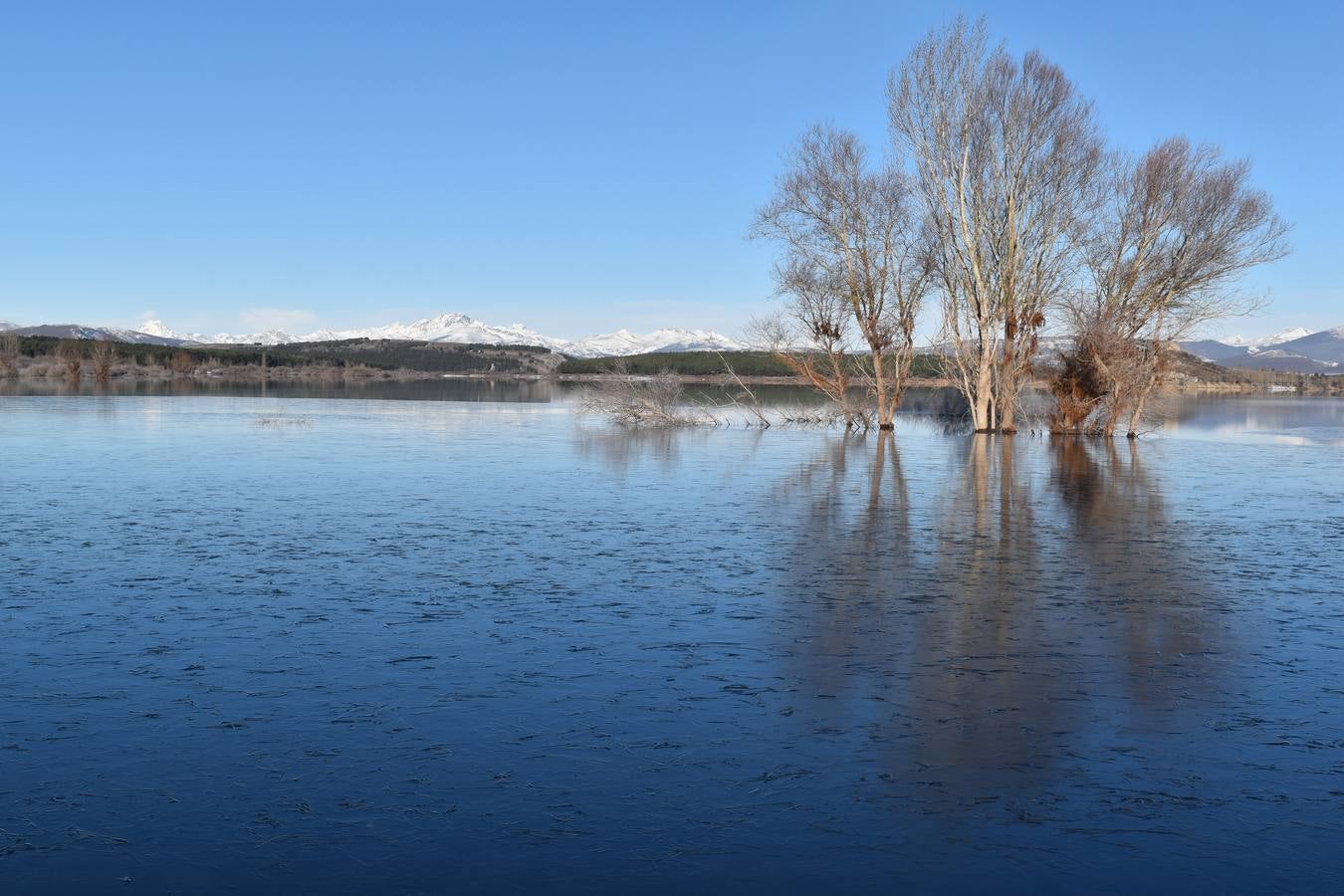 Fotos: El embalse de Aguilar de Campoo amanece congelado
