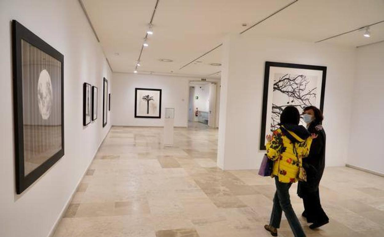Imagen de la exposición en el Patio Herreriano. 