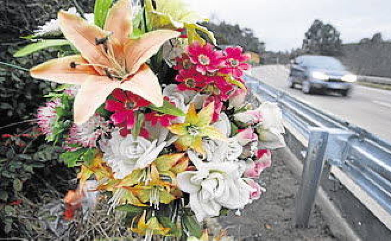 La flor y el planeta