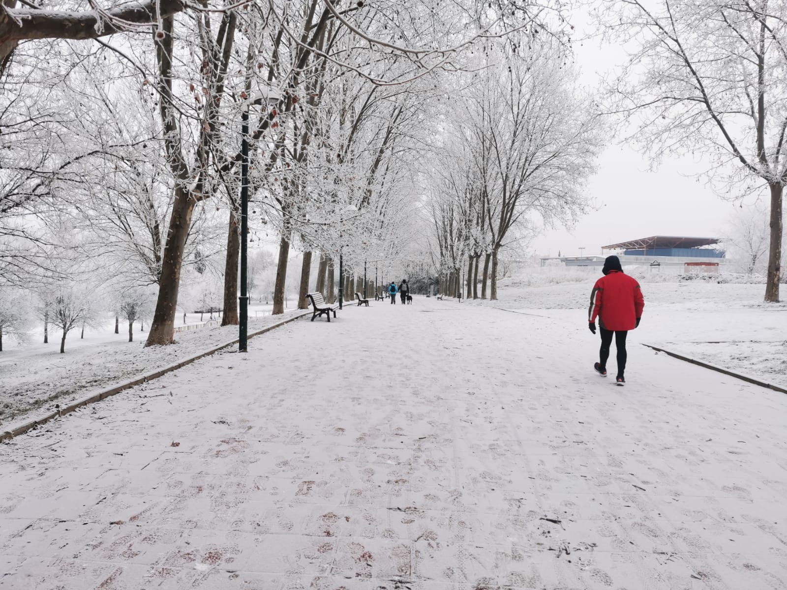 El Parque Ribera de Castilla de Valladolid amanece cubierto de nieve