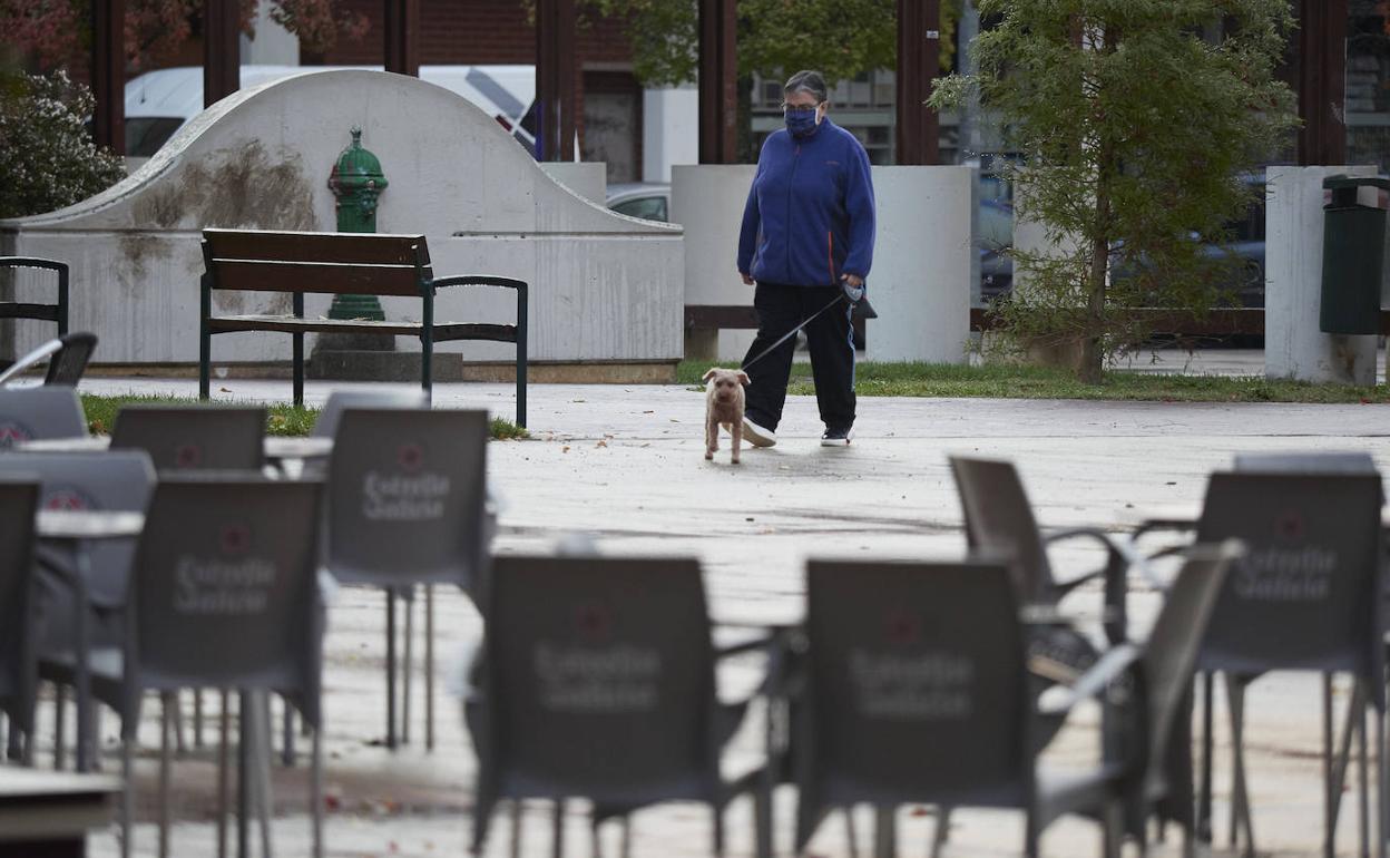 Una persona pasea a su mascota. 
