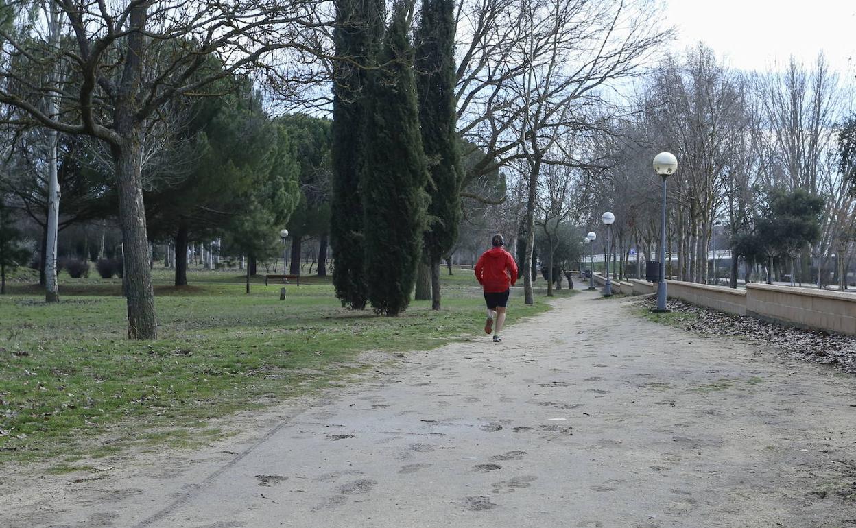 El Ayuntamiento ha cerrado la zona arbolada de la Aldehuela.