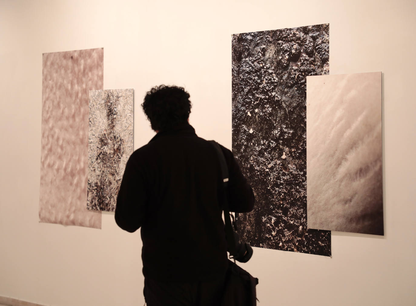 Fotos: Exposición de Lucía Morate en el Museo Patio Herreriano de Valladolid