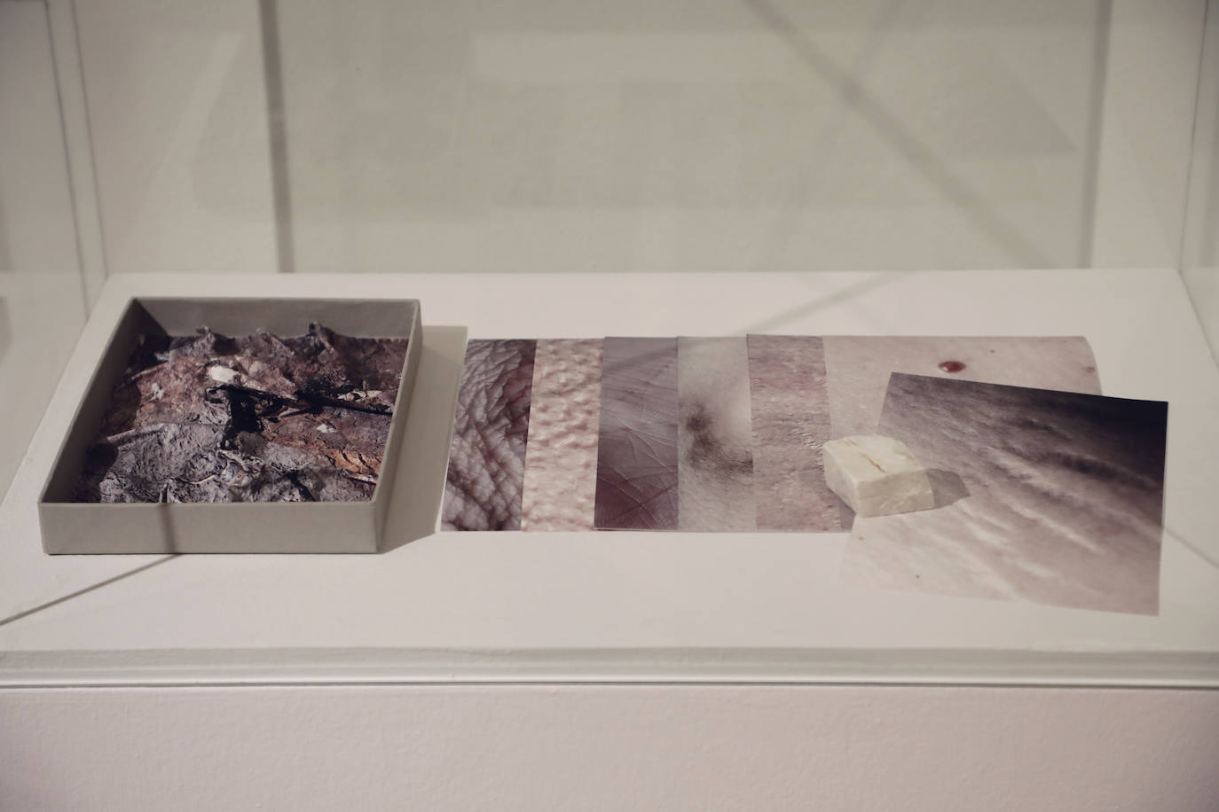 Fotos: Exposición de Lucía Morate en el Museo Patio Herreriano de Valladolid