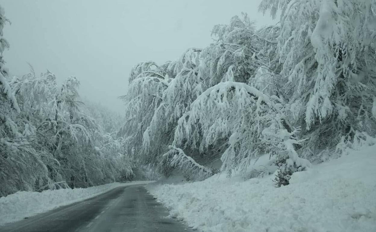 Una carretera de la provincia de León con hielo en el firme y nieve a los lados