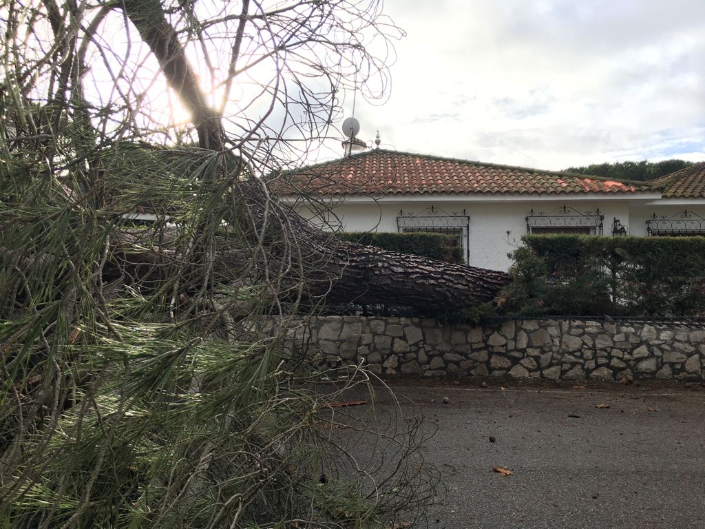 La Corala.