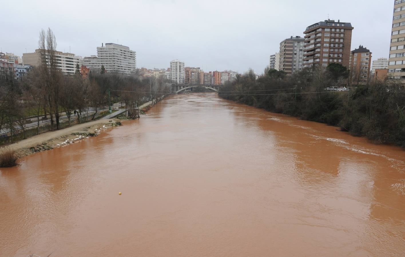 Fotos: Aumenta el caudal del Pisuerga a su paso por Valladolid