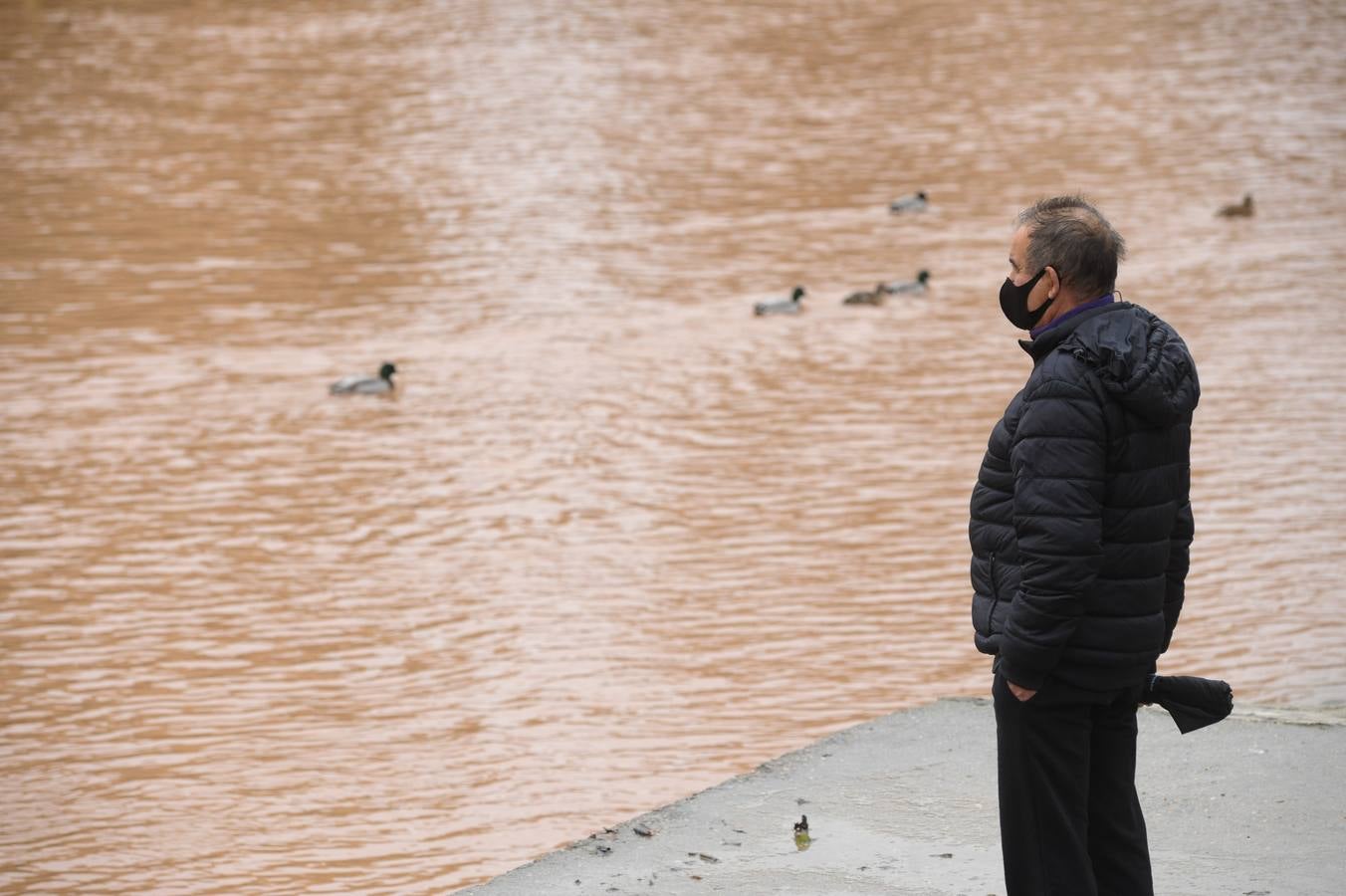 Fotos: Aumenta el caudal del Pisuerga a su paso por Valladolid