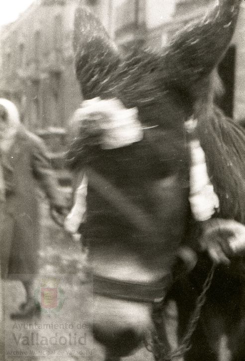 Fotos: Estampas del Valladolid antiguo (LXV): animales esperando la bendición de San Antón en 1957